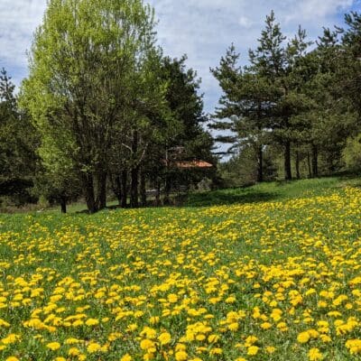 Πεζοπορία – Γιόγκα στην οροσειρά της Ροδόπης