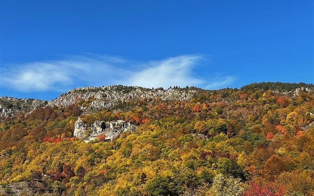 The Forest Traverse 26-29 Οκτωβρίου στην Οροσειρά της Ροδόπης